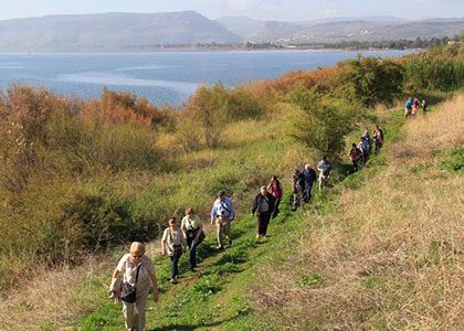 The McCabe Sponsored Walk